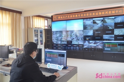 移动数智力量赋能特色高效农业 以大户庄园为例看物联网设备销售新机遇