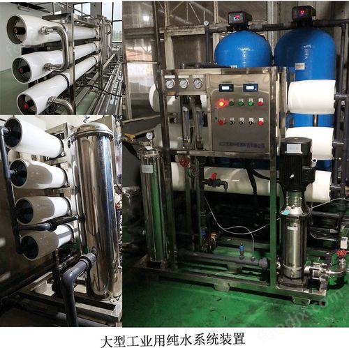 超纯水设备与物联网养鱼净水系统 现代化循环水养殖的未来